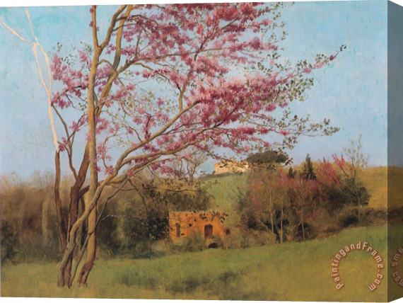 John William Godward Landscape Blossoming Red Almond [study] Stretched Canvas Print / Canvas Art